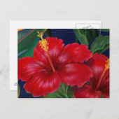Carte postale Hibiscus Paradis tropical (Devant / Derrière)