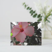 Carte Postale Hibiscus rose (Debout devant)