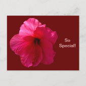 Carte Postale Hibiscus rose (Devant)
