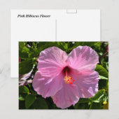 Carte Postale Hibiscus rose (Devant / Derrière)