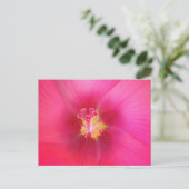 Carte postale Hibiscus rose (Debout devant)
