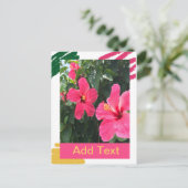 Carte Postale Hibiscus rose (Debout devant)