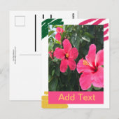 Carte Postale Hibiscus rose (Devant / Derrière)