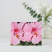 Carte postale Hibiscus rose double (Debout devant)