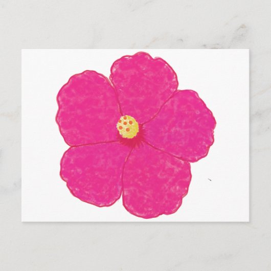 Carte Postale Hibiscus rose Fleur tropicale (Devant)