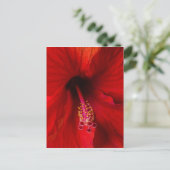 Carte Postale Hibiscus rouge (Debout devant)