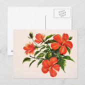 Carte Postale Hibiscus rouge chaud (Devant / Derrière)