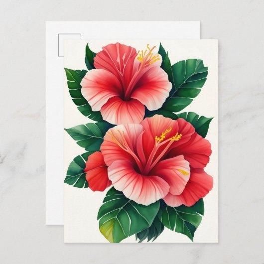 Carte Postale Hibiscus rouge clair tropical Hawaïen (Devant / Derrière)