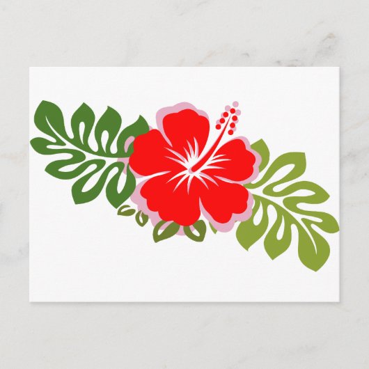 Carte Postale Hibiscus rouge et Feuilles (Devant)