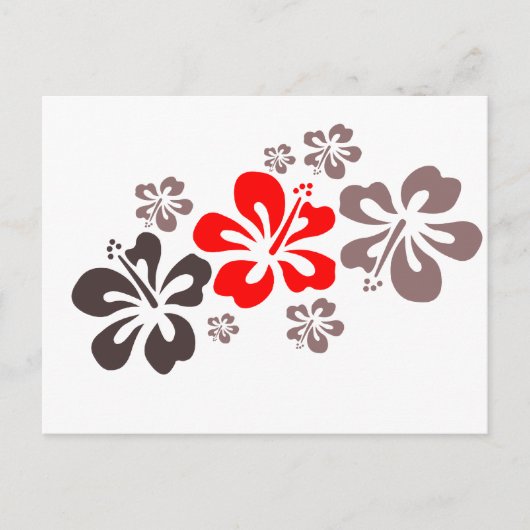 Carte Postale Hibiscus rouge et gris (Devant)