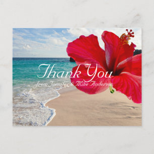 Carte Postale Hibiscus rouge tropical Joli Merci de plage