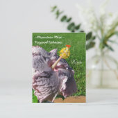 Carte postale hibiscus tropical violet de lavande (Debout devant)