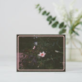 Carte postale Hibiscus vintage (Debout devant)