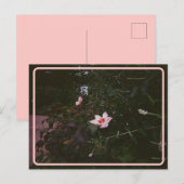 Carte postale Hibiscus vintage (Devant / Derrière)