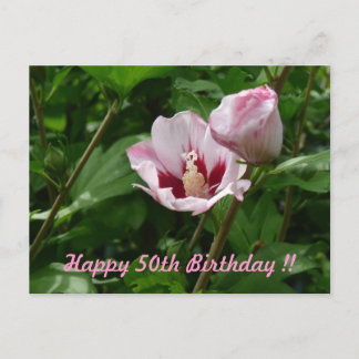 Carte Postale Hibiskus Hibiscus 50. Geburtstag Jubiläum