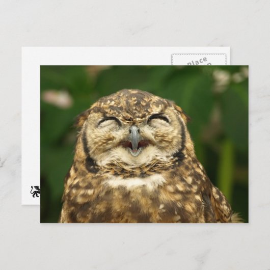 Carte Postale hibl sourit ! ! :) (Devant / Derrière)