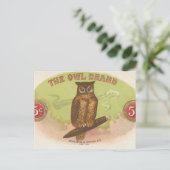 Carte Postale Hibou (Debout devant)