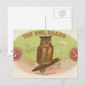 Carte Postale Hibou (Devant / Derrière)