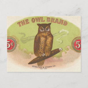 Carte Postale Hibou