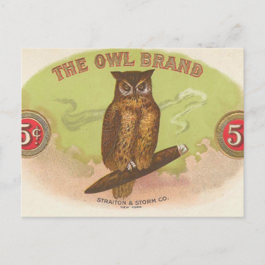 Carte Postale Hibou (Devant)