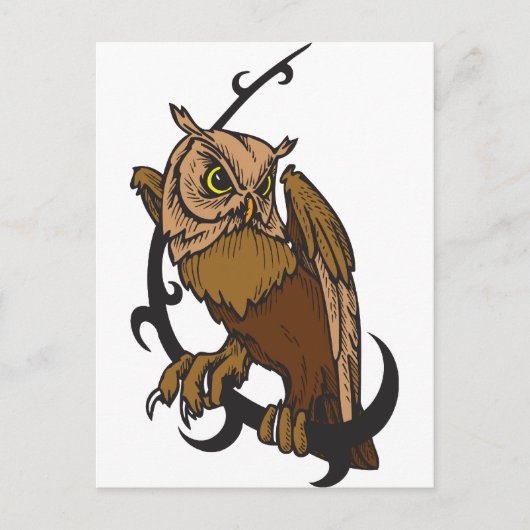 Carte Postale Hibou (Devant)