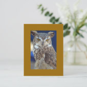 Carte Postale hibou (Debout devant)