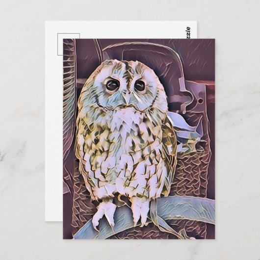 CARTE POSTALE HIBOU (Devant / Derrière)