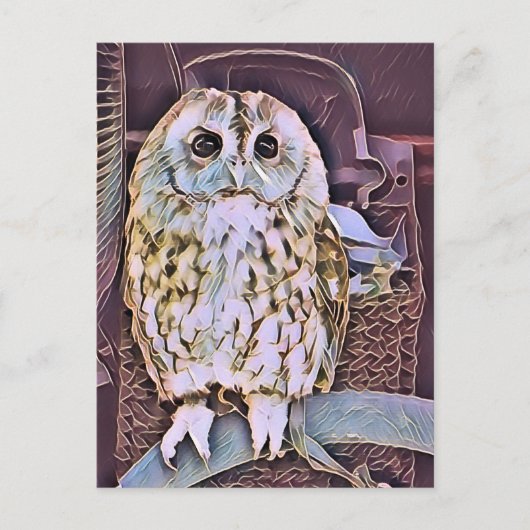 CARTE POSTALE HIBOU (Devant)
