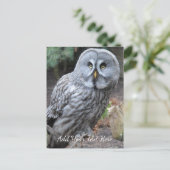 Carte Postale Hibou (Debout devant)
