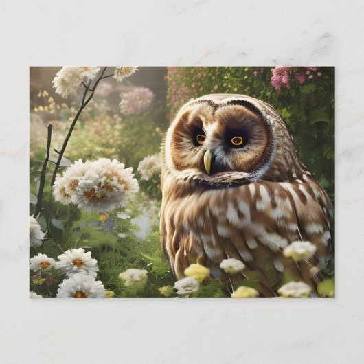 Carte Postale Hibou (Devant)
