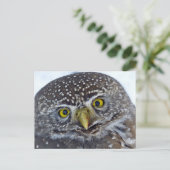 Carte Postale Hibou (Debout devant)