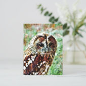 CARTE POSTALE HIBOU (Debout devant)