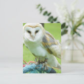 Carte Postale Hibou (Debout devant)