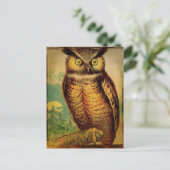 Carte Postale Hibou (Debout devant)