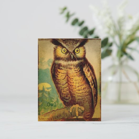 Carte Postale Hibou (Debout devant)