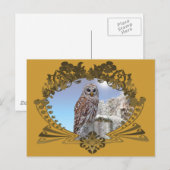 Carte Postale Hibou (Devant / Derrière)