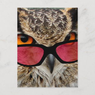 Carte Postale hibou avec spectacles drôle hilarant