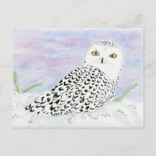 Carte Postale Hibou Blanc Au Coucher De Soleil D'Hiver Au Crayon