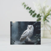 Carte Postale hibou blanc dans la nuit (Debout devant)