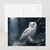 Carte Postale hibou blanc dans la nuit (Devant / Derrière)