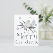 Carte Postale Hibou blanc sur une branche de pin (Debout devant)