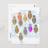 Carte postale - Hibou de famille (Devant / Derrière)