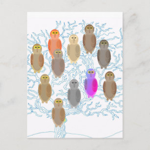 Carte postale - Hibou de famille