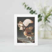 Carte Postale Hibou de grange du plat 171 d'Audubon (Debout devant)