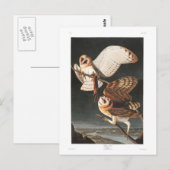 Carte Postale Hibou de grange du plat 171 d'Audubon (Devant / Derrière)