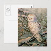 Carte Postale HIBOU de MILOU par SHARON SHARPE (Devant / Derrière)