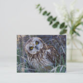Carte Postale Hibou des marais (Debout devant)