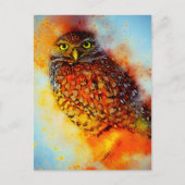 Carte Postale Hibou éclaboussé (Devant)
