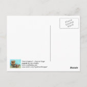 Carte Postale Hibou et écureuil (Dos)