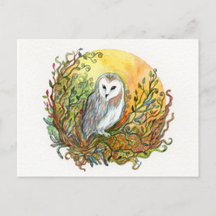 Carte Postale Hibou et lune